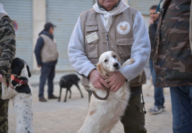 Trifolau e Cani da Tartufo